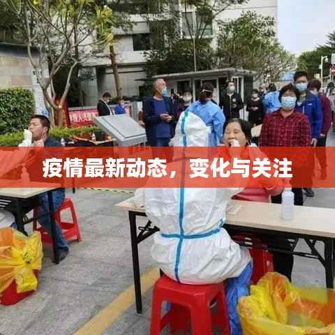 疫情最新动态,变化与关注