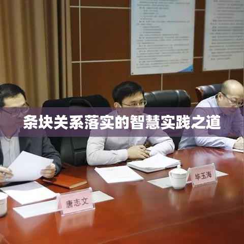 条块关系落实的智慧实践之道