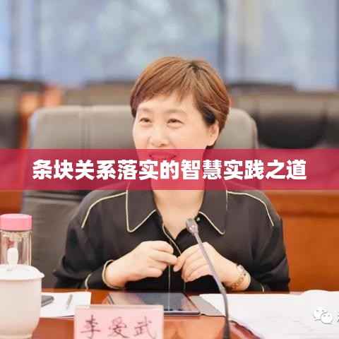 条块关系落实的智慧实践之道