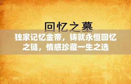 独家记忆金帝，铸就永恒回忆之链，情感珍藏一生之选