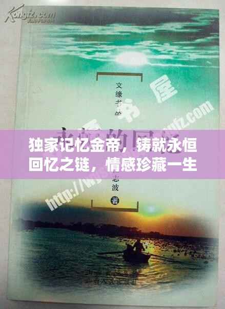 独家记忆金帝,铸就永恒回忆之链,情感珍藏一生之选
