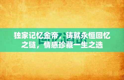 独家记忆金帝,铸就永恒回忆之链,情感珍藏一生之选