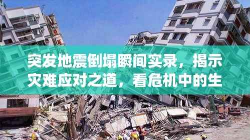 突发地震倒塌瞬间实录，揭示灾难应对之道，看危机中的生存智慧