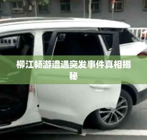 柳江畅游遭遇突发事件真相揭秘
