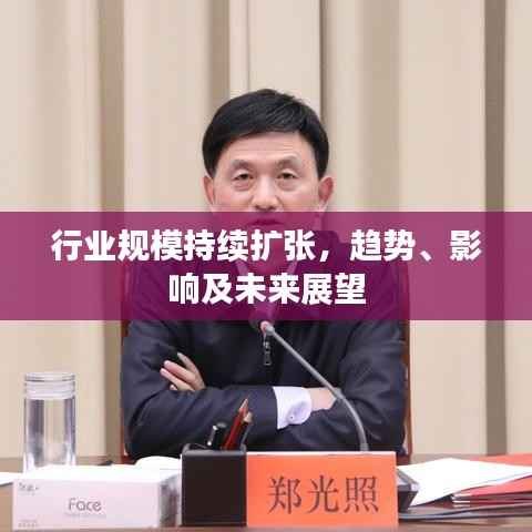 行业规模持续扩张,趋势、影响及未来展望