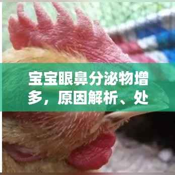 宝宝眼鼻分泌物增多，原因解析、处理方法与预防策略