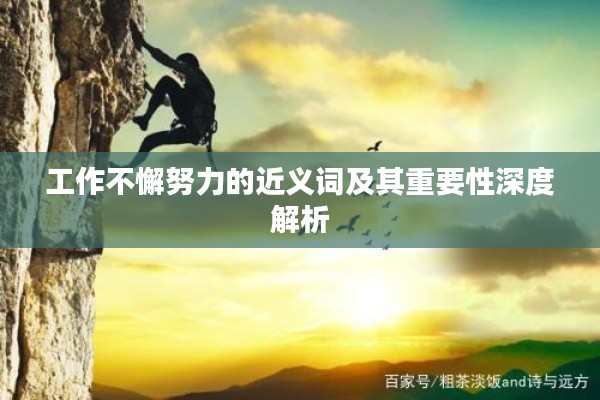 工作不懈努力的近义词及其重要性深度解析