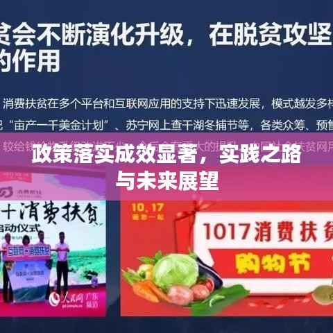 政策落实成效显著，实践之路与未来展望