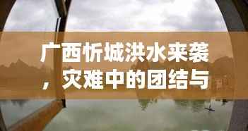广西忻城洪水来袭,灾难中的团结与坚韧力量