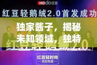 独家酱子，揭秘未知领域，独特品味引领探索风潮