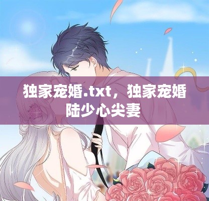 独家宠婚.txt,独家宠婚陆少心尖妻