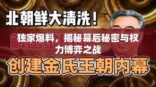 独家爆料,揭秘幕后秘密与权力博弈之战