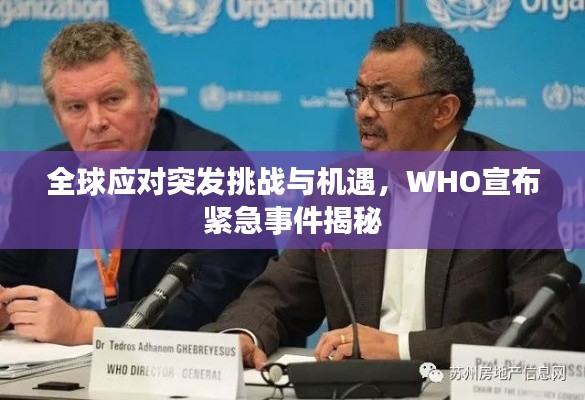 全球应对突发挑战与机遇，WHO宣布紧急事件揭秘