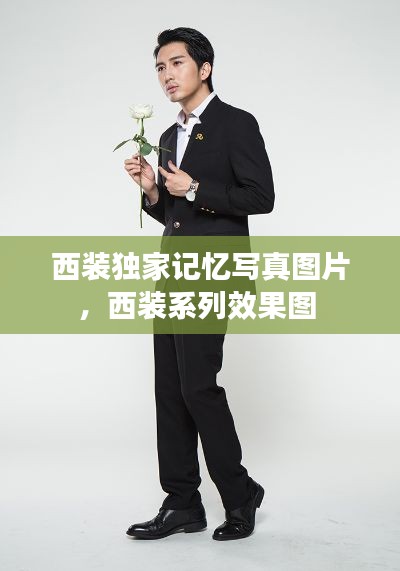 西装独家记忆写真图片,西装系列效果图