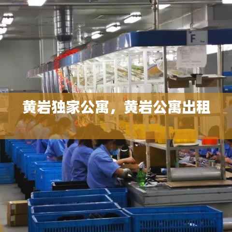 黄岩独家公寓，黄岩公寓出租 