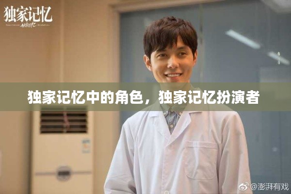 独家记忆中的角色,独家记忆扮演者