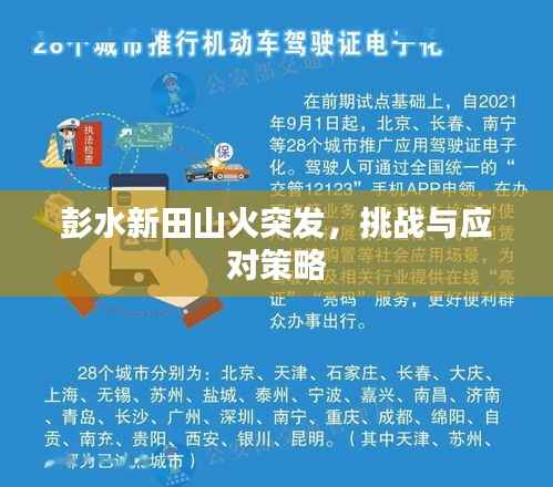 彭水新田山火突发，挑战与应对策略