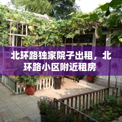 北环路独家院子出租，北环路小区附近租房 
