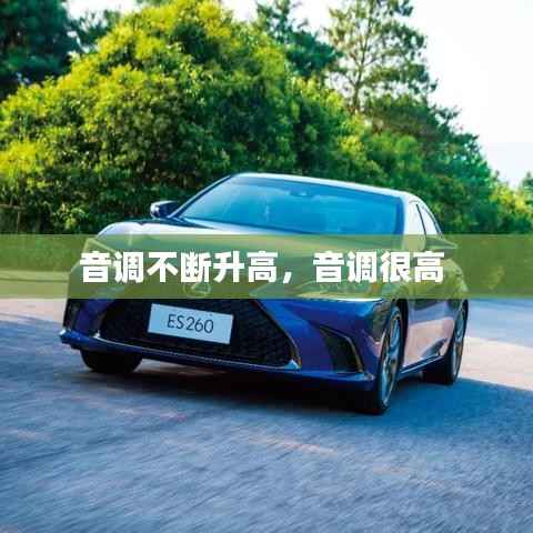 音调不断升高，音调很高 