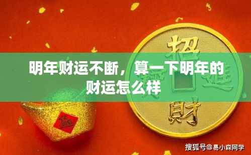明年财运不断,算一下明年的财运怎么样