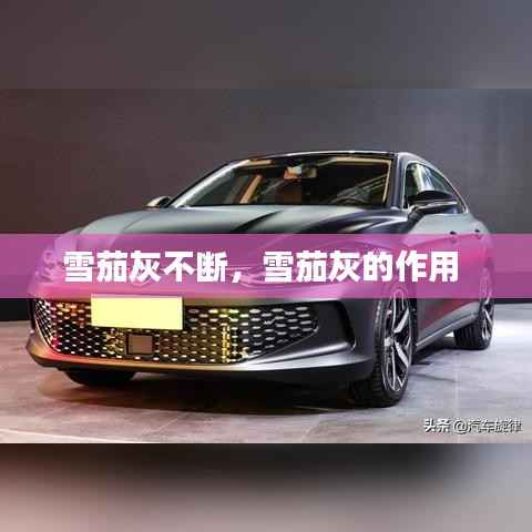 雪茄灰不断,雪茄灰的作用