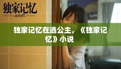 独家记忆在逃公主，《独家记忆》小说 