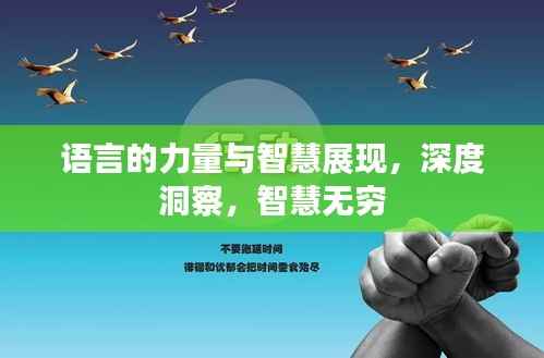语言的力量与智慧展现，深度洞察，智慧无穷
