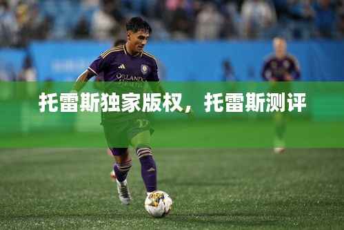 托雷斯独家版权,托雷斯测评