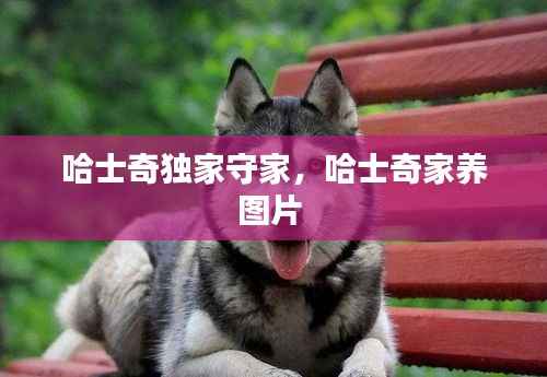 巧舌如簧 第5页