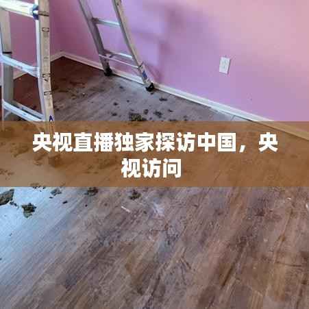 央视直播独家探访中国，央视访问 