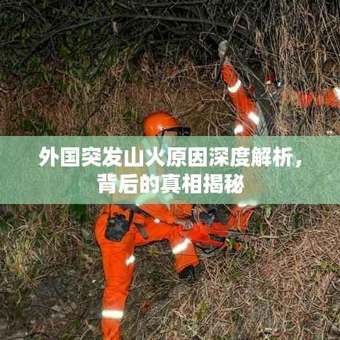 外国突发山火原因深度解析，背后的真相揭秘