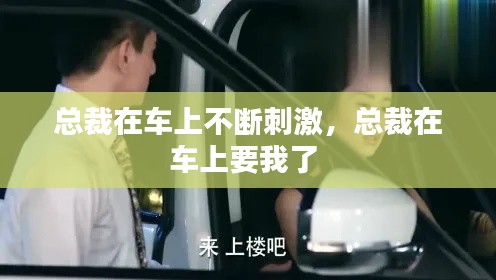 总裁在车上不断刺激，总裁在车上要我了 