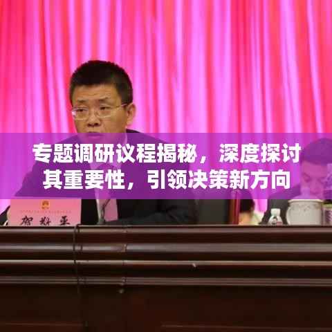 专题调研议程揭秘,深度探讨其重要性,引领决策新方向