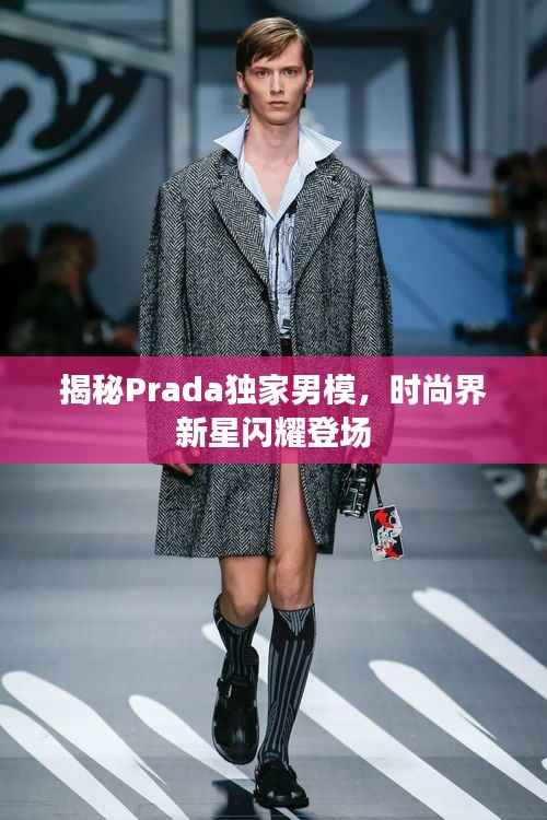 志同道合 第5页