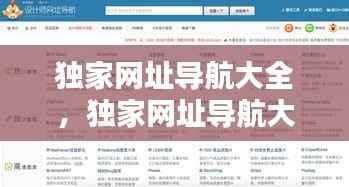 独家网址导航大全，独家网址导航大全下载 