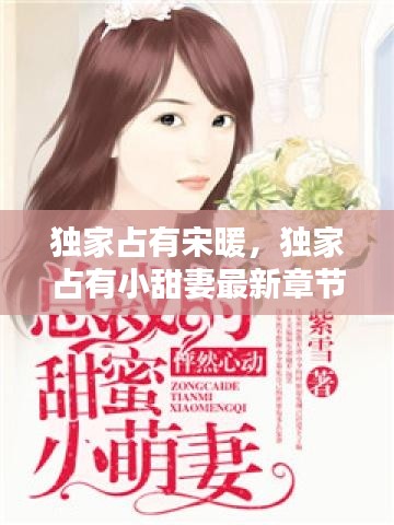 独家占有宋暖，独家占有小甜妻最新章节 