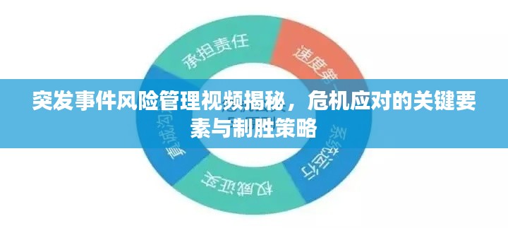 突发事件风险管理视频揭秘,危机应对的关键要素与制胜策略
