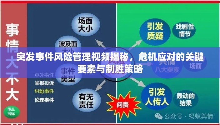 突发事件风险管理视频揭秘,危机应对的关键要素与制胜策略