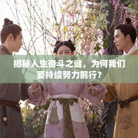 揭秘人生奋斗之谜,为何我们要持续努力前行?