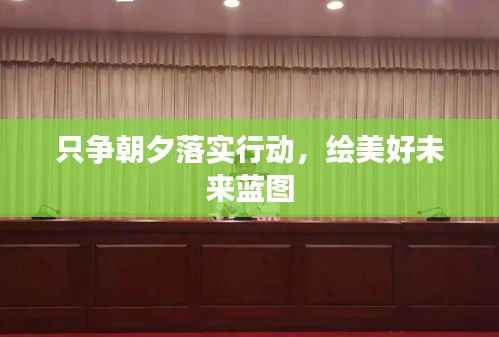 只争朝夕落实行动，绘美好未来蓝图