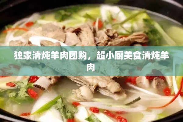 独家清炖羊肉团购，超小厨美食清炖羊肉 
