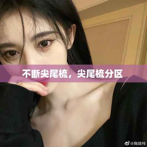 不断尖尾梳,尖尾梳分区