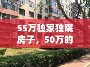 55万独家独院房子，50万的独院过户费用 