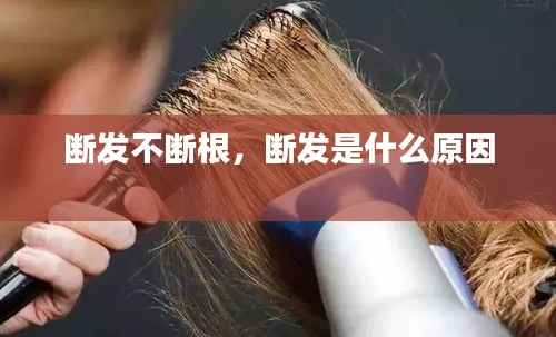 断发不断根,断发是什么原因