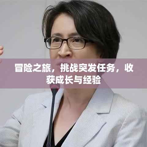 冒险之旅,挑战突发任务,收获成长与经验