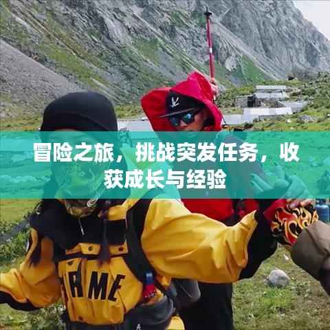 冒险之旅,挑战突发任务,收获成长与经验