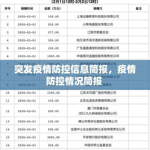 突发疫情防控信息简报，疫情防控情况简报 