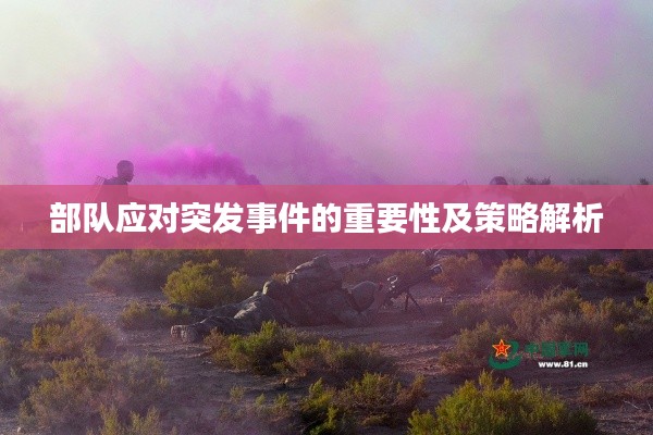 部队应对突发事件的重要性及策略解析