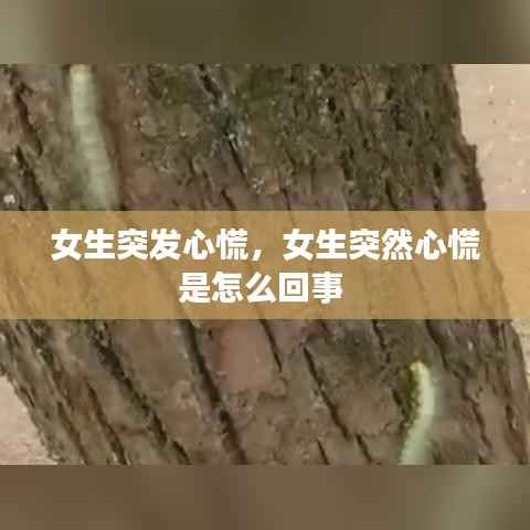 富贵荣华 第4页