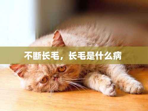 不断长毛，长毛是什么病 